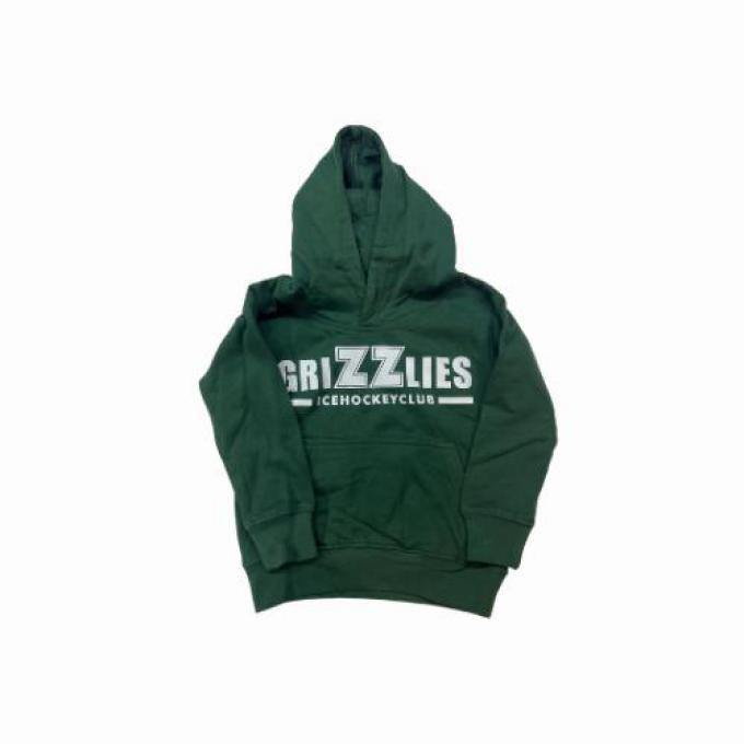 Hoodie Gr&uuml;n Adult - L