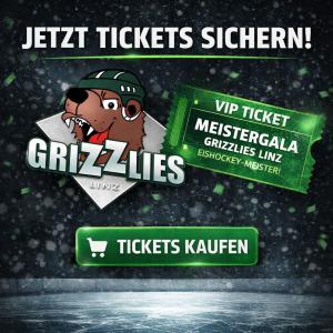 Ticket Meistergala